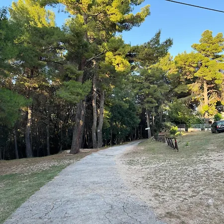 Casa Nella Natura